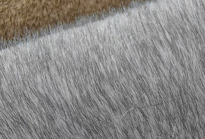 1200 mg * 185 cm Tessuto in pelliccia di volpe imitazione cationica bicolore 1200 mg * 185 cm Tessuto in pelliccia di volpe imitazione cationica bicolore